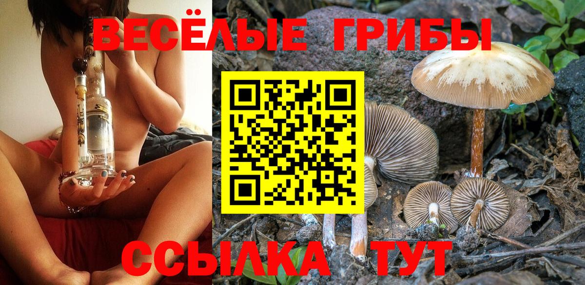 Кумертау  Галлюциногенные грибы прущие грибы  Вход с VPN 